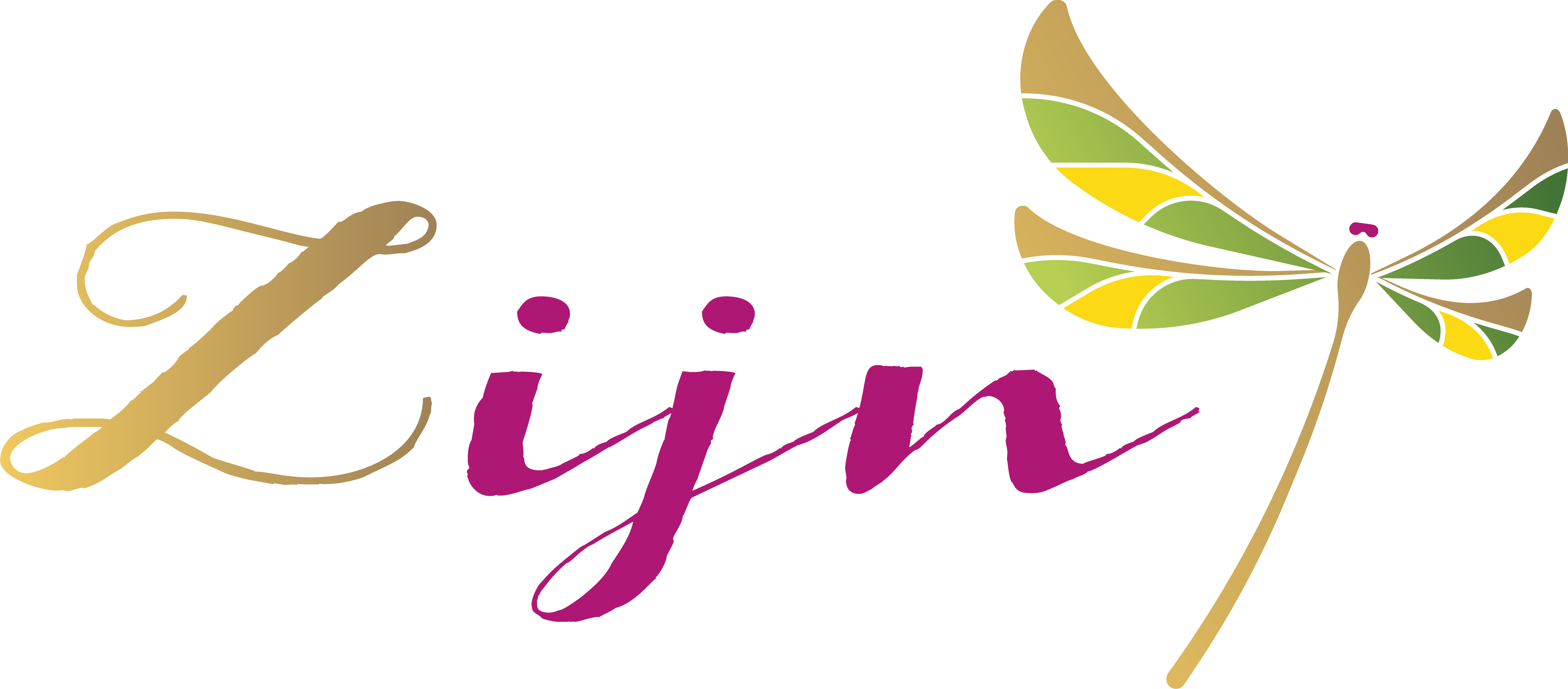 Zijn Coaching
